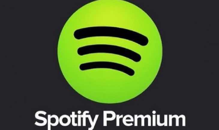Free Premium Spotify Globe